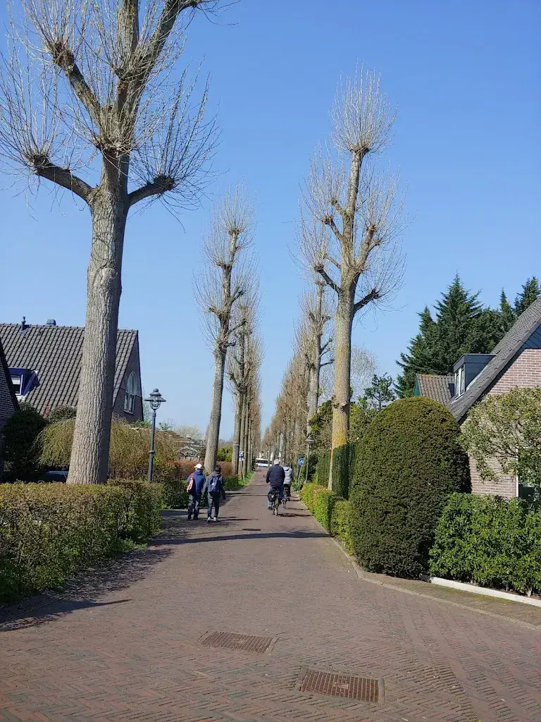 Byung Gab Lee_FEBO Diemen_Diemen_review