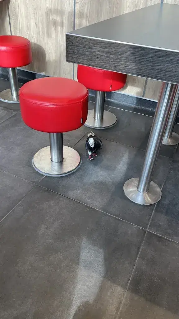 Benedict Braun_FEBO Diemen_Diemen_review