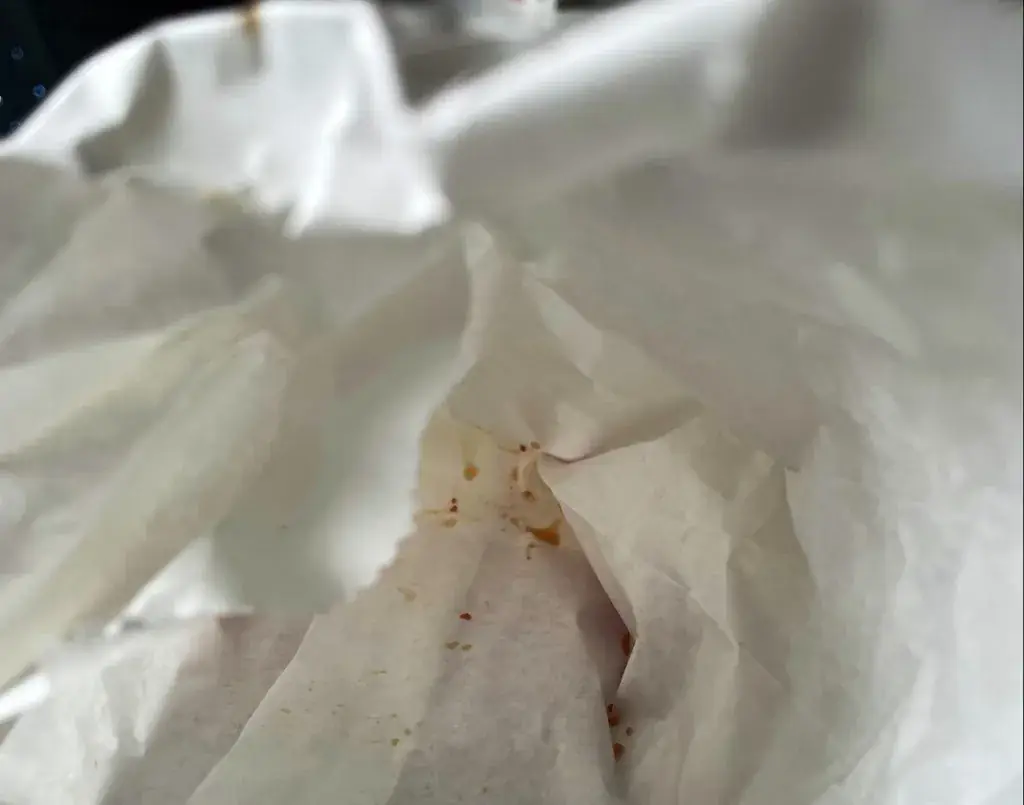 Nuala_Broodje van Bootje_Diemen_recensione