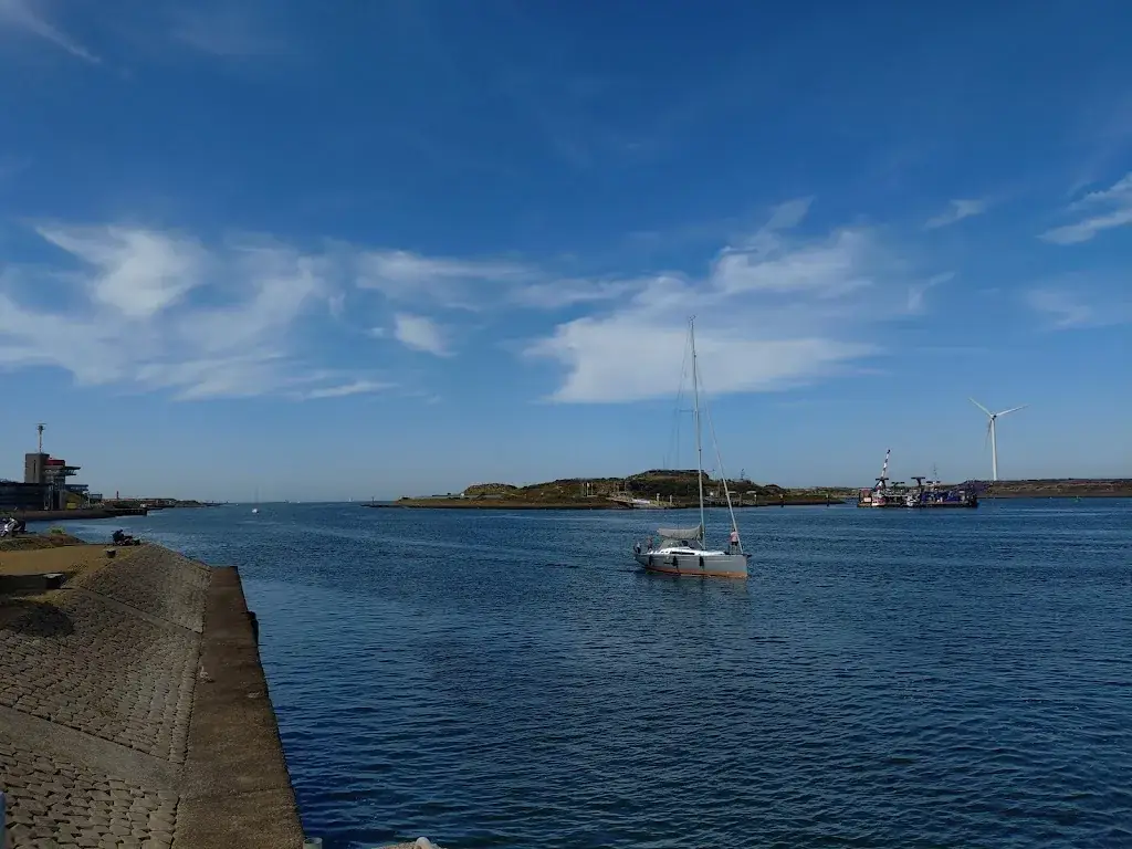 Aino Toonder_Kop Van de Haven B.V._IJmuiden_review