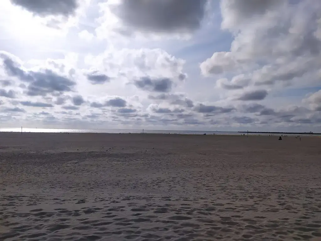 Alejandra Parra_Paviljoen Noordzee_IJmuiden_review