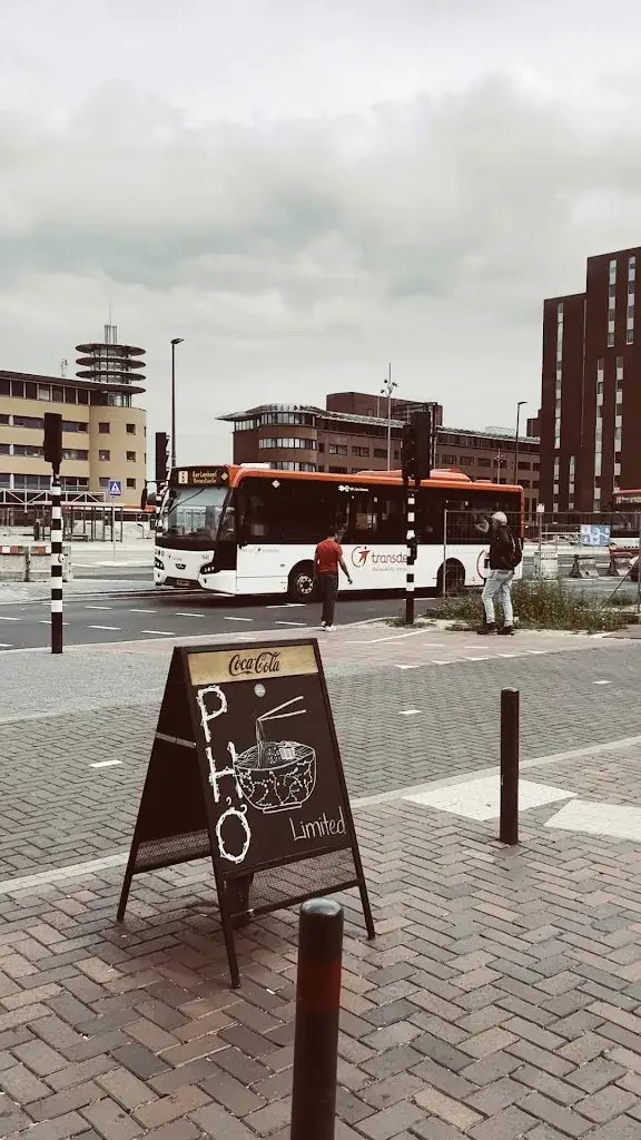 Nguyen Tuan_Cursar_Hilversum_review