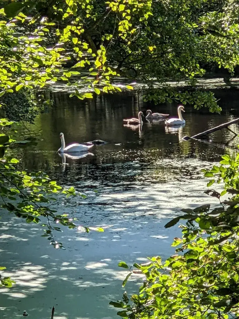 Clemens van Os_The forest hut_Hilversum_Bewertung