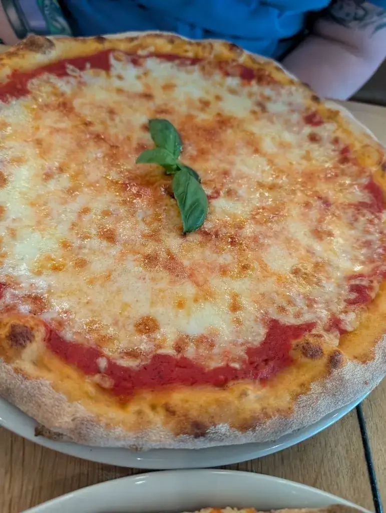 Stephanie Roman_Bloem op IJburg_Amsterdam_recensione