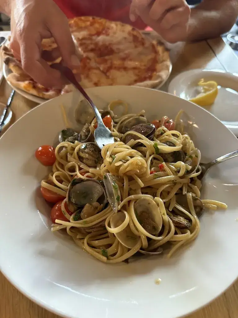 Mireia Costillas_Bloem op IJburg_Amsterdam_recensione