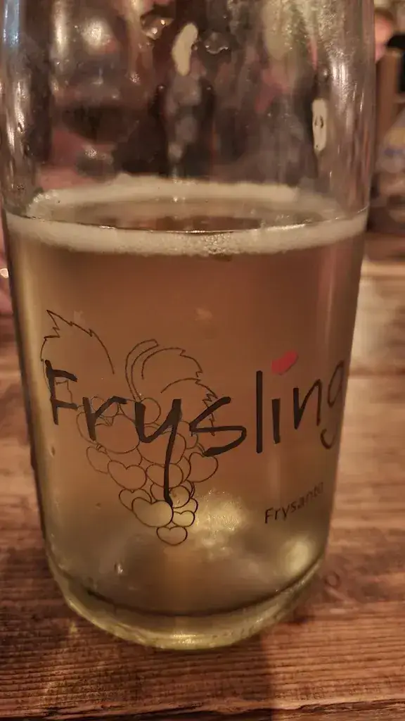 Tjeerd Huitema_De Slotplaats_Bakkeveen_review