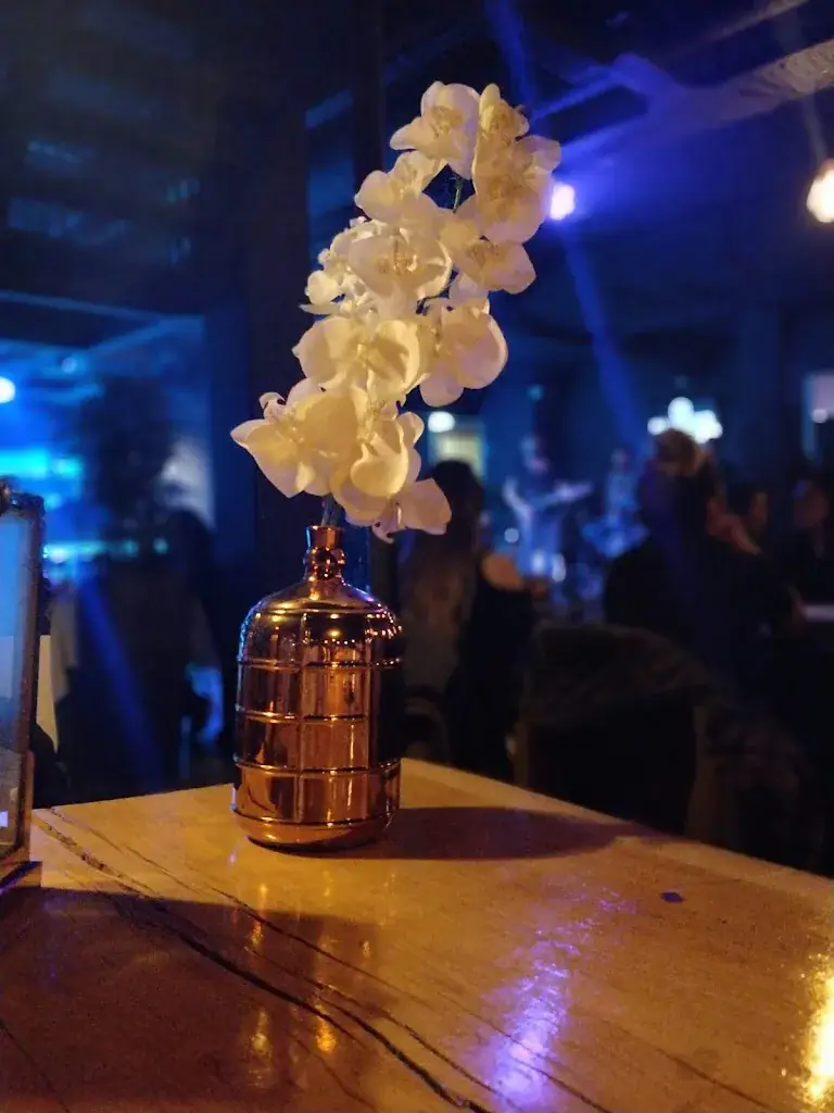 Adeel Qurashi_The Marina Club - Amsterdam_Amsterdam_review