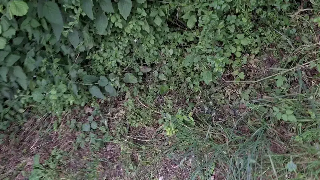 Gijs van Seggelen_PorterHouse Weesp_Weesp_Bewertung