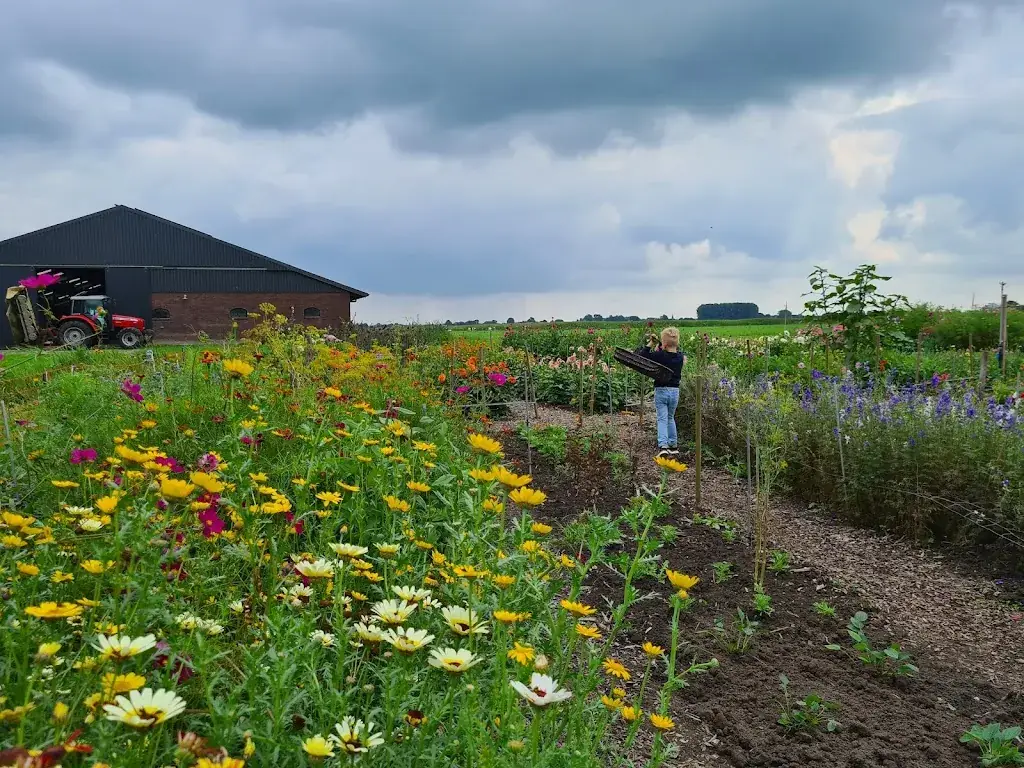 Hightea bij Marie_Weesp_slider_image_3