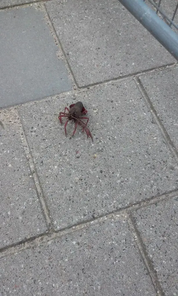 Restaurant Fu_Berg_slider_image_2