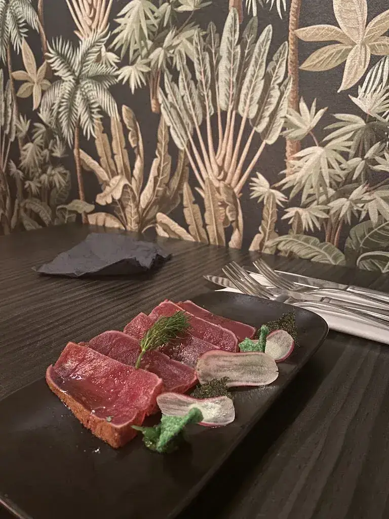 Isabela Mendoza_BRASS_Heerhugowaard_review