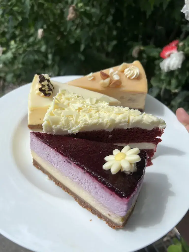 katharina meta_Gewoon Lekker_Heerhugowaard_review