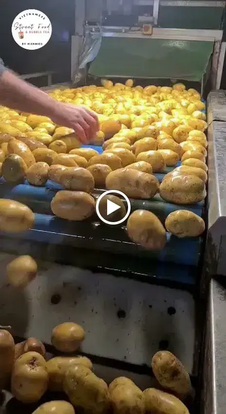 Streetfood By Hiennies & Bubble Tea_Heerhugowaard_slider_image_2