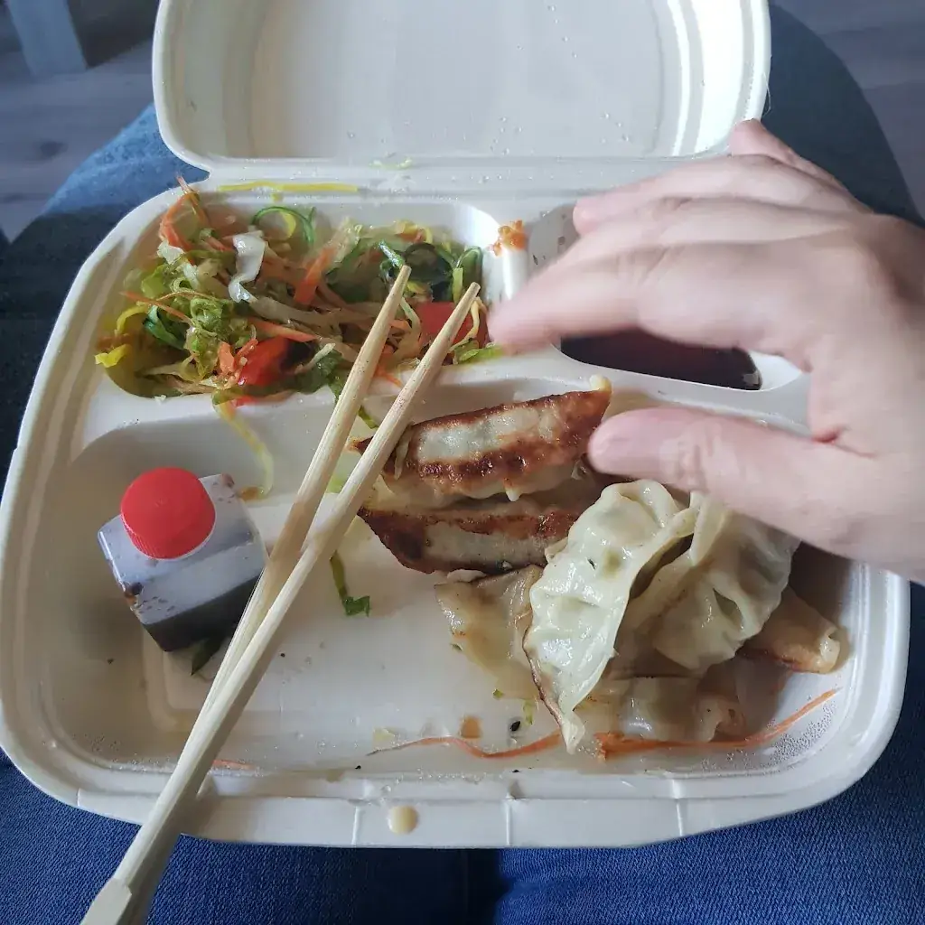 Menu_Saikou-China Chinees en Sushi_Heerhugowaard_image_5