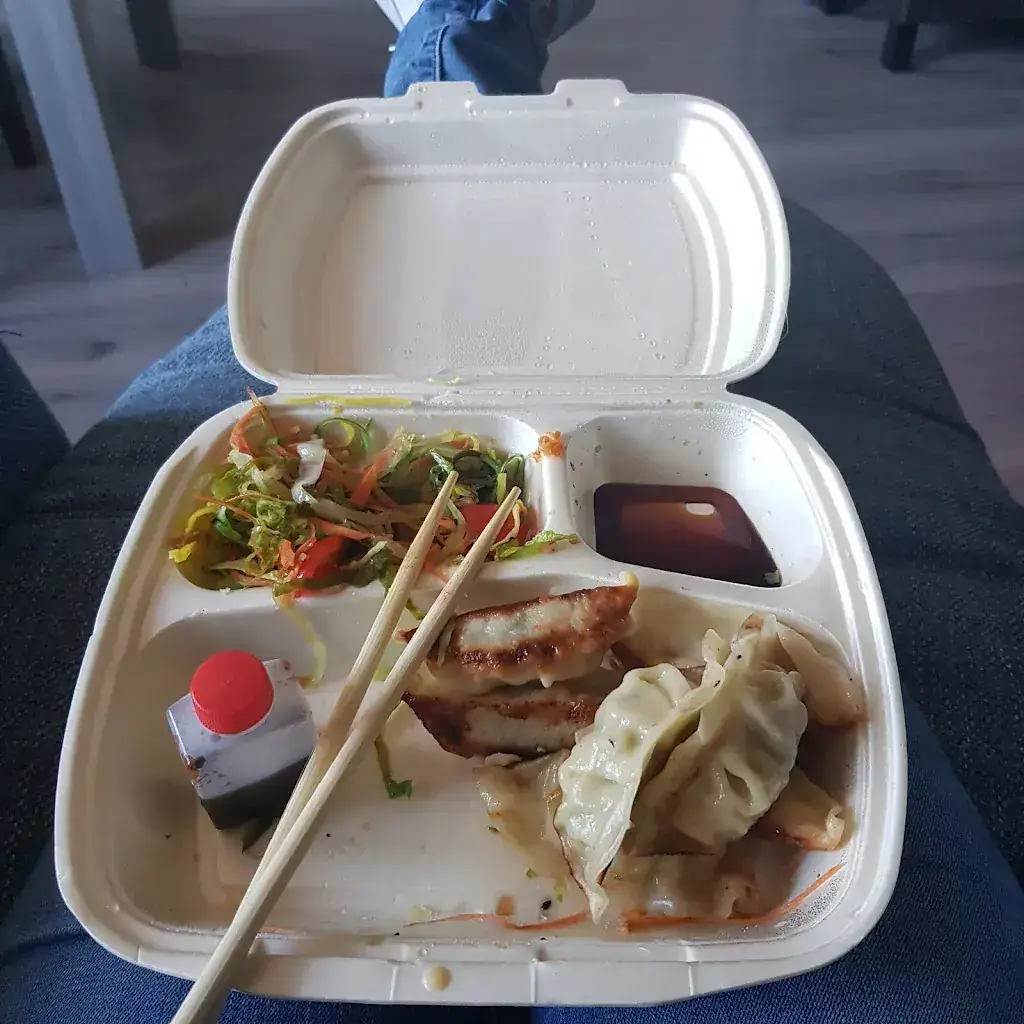 Diana Rodríguez_Saikou-China Chinees en Sushi_Heerhugowaard_review