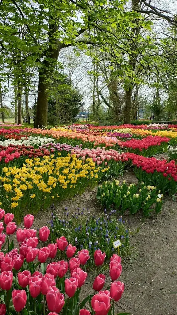 Eetcafé de Prins_Purmerend_slider_image_2