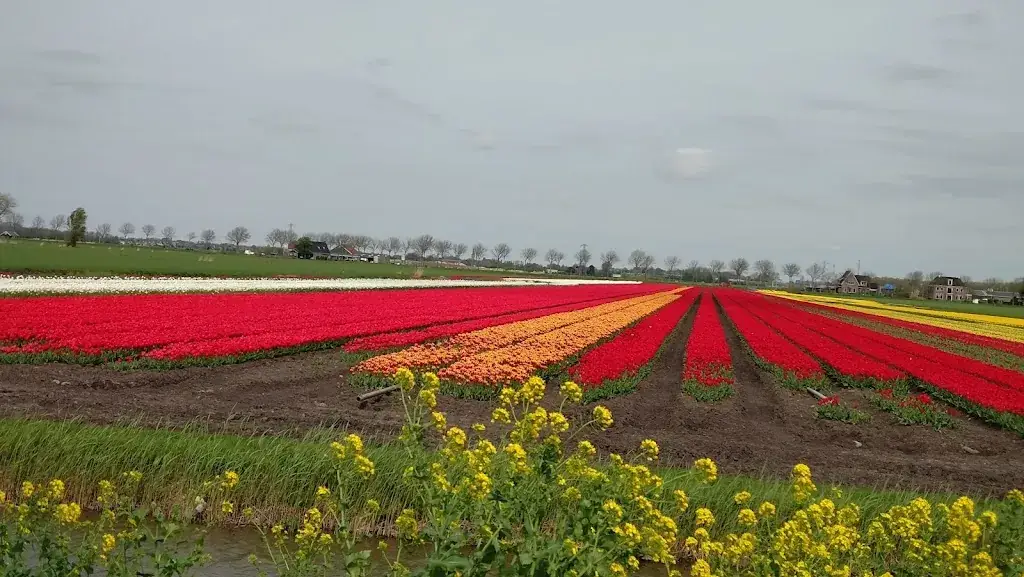 Eetcafé de Prins_Purmerend_slider_image_3