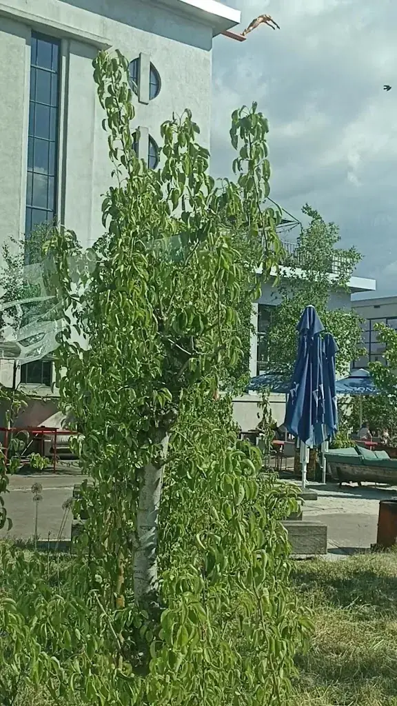 Café Restaurant De Krachtcentrale_Huizen_slider_image_2