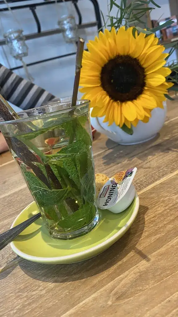 Nurtaç Koca_Tante Tee_Krommenie_review