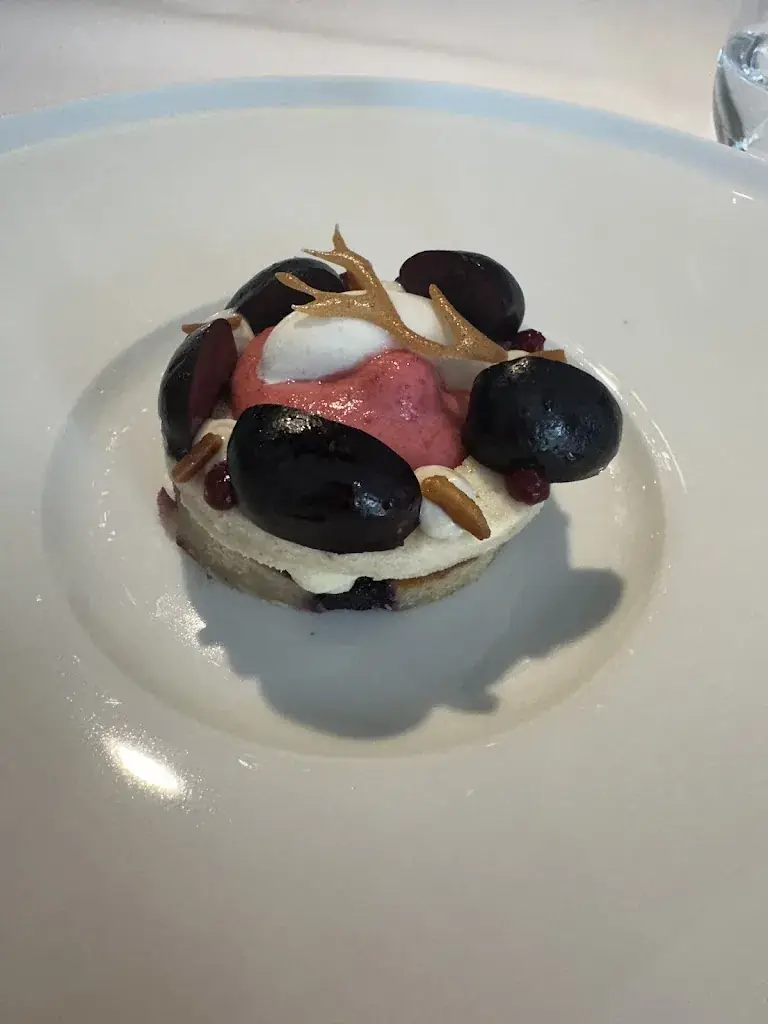 Daria Naumenko_Mulberry Restaurant_Warmond_review