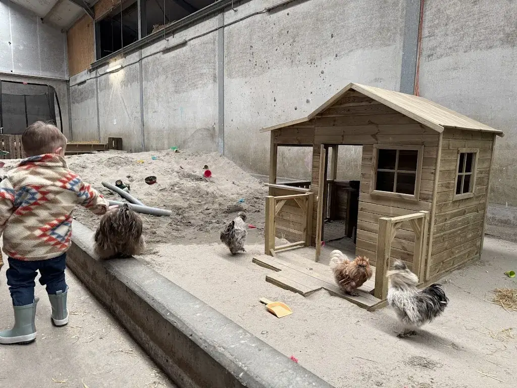 Jessie Stabel_Brasserie Aai&Vlaai_Baarle-Nassau_review