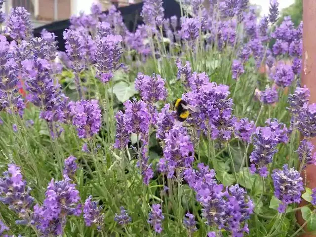 atMirror Monnickendam_Monnickendam_slider_image_2