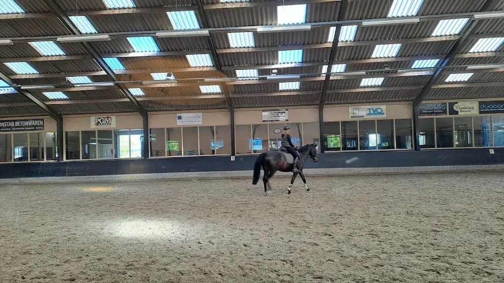 Dan Becker_Brave Hendrick_Lisserbroek_review