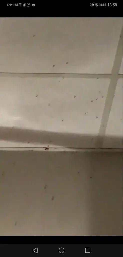 Stephanie Abbott-van Groningen_Hotel De Vooroever_Wervershoof_recensione