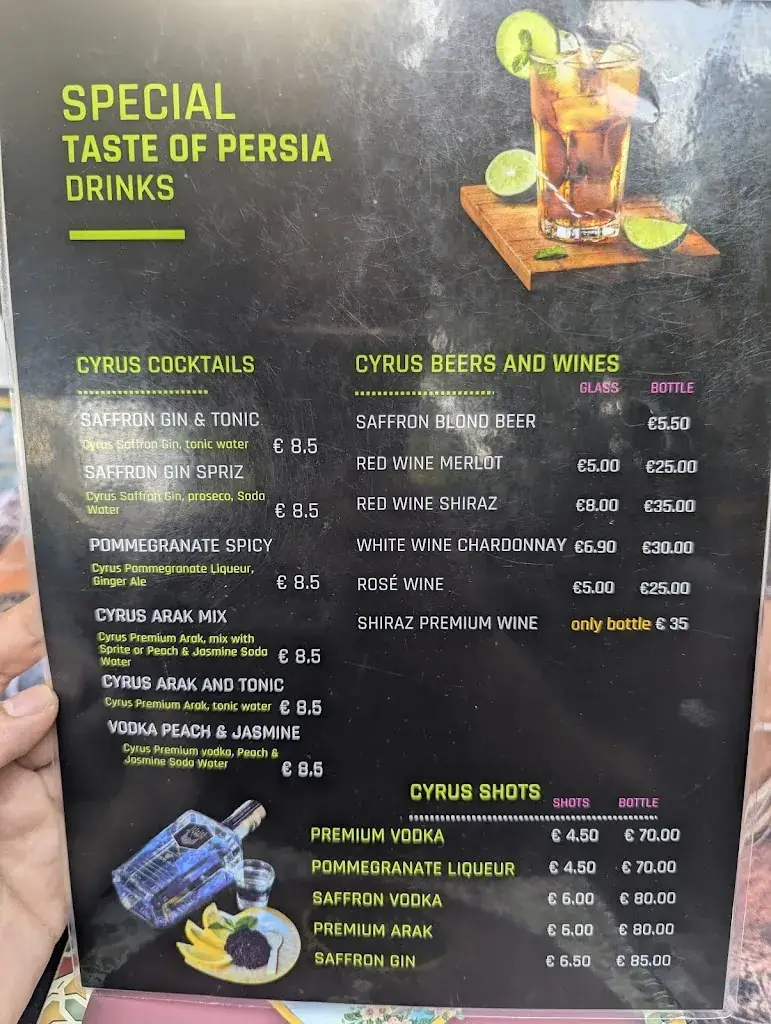 Menu_Medineh Perzische restaurant_Leeuwarden_image_2