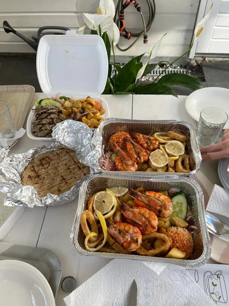 Irene Tudorică_Patmos_Wormerveer_recensione