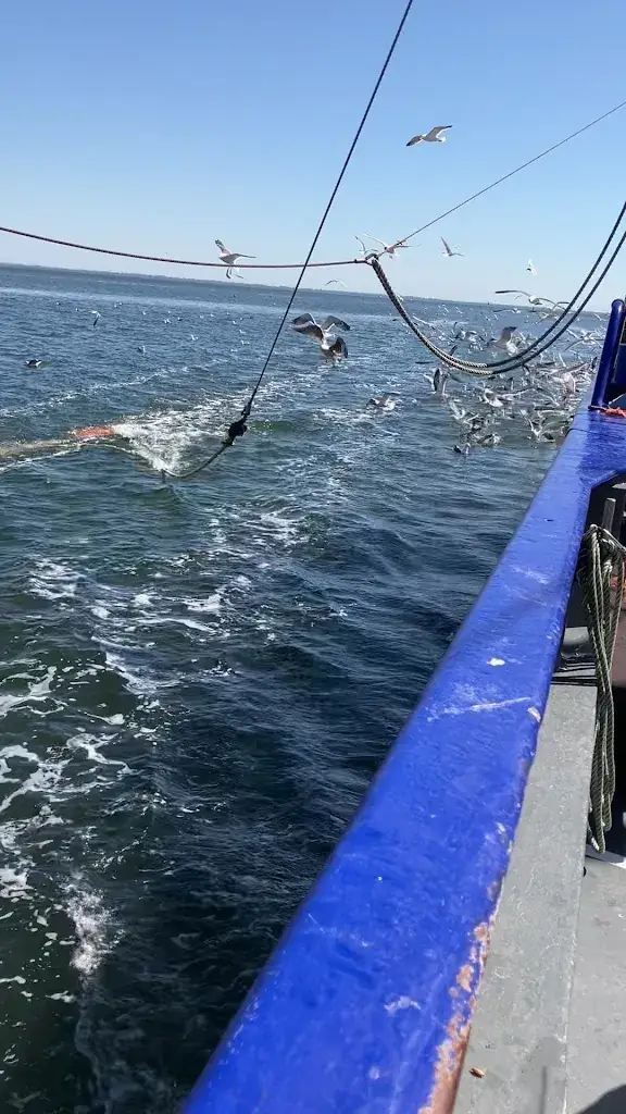 Kees Storm_Oudeschild-Texel_Oudeschild_review