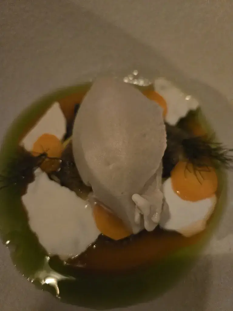 Minh Nguyet_Dokjard_Groningen_review