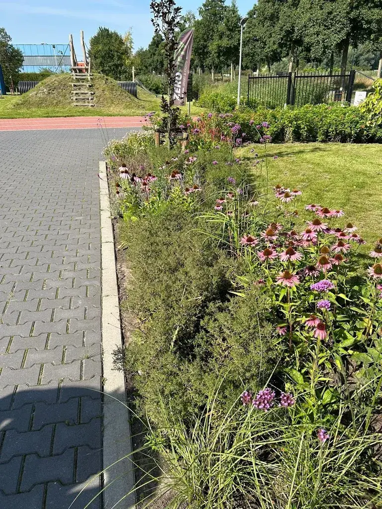 aïsha Rozema_Momentum-Padel_Groningen_review