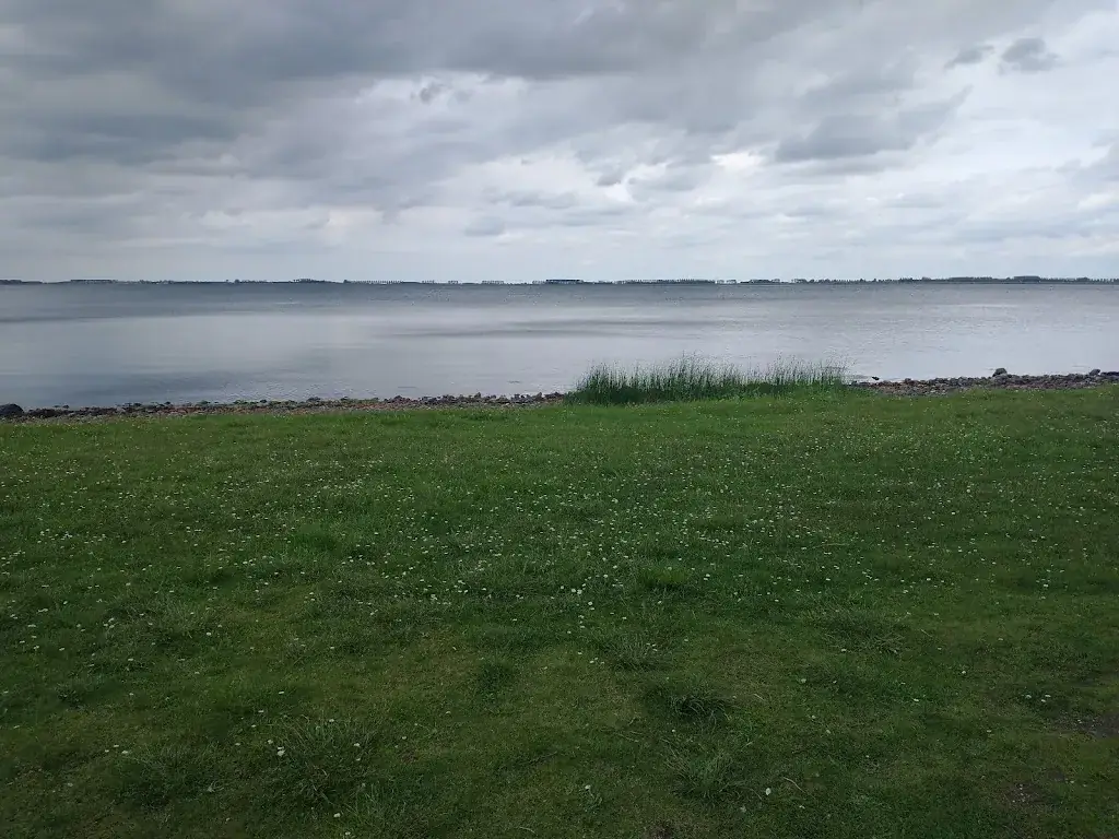 Liz Barrett_PUURR by Rich_Bruinisse_recensione