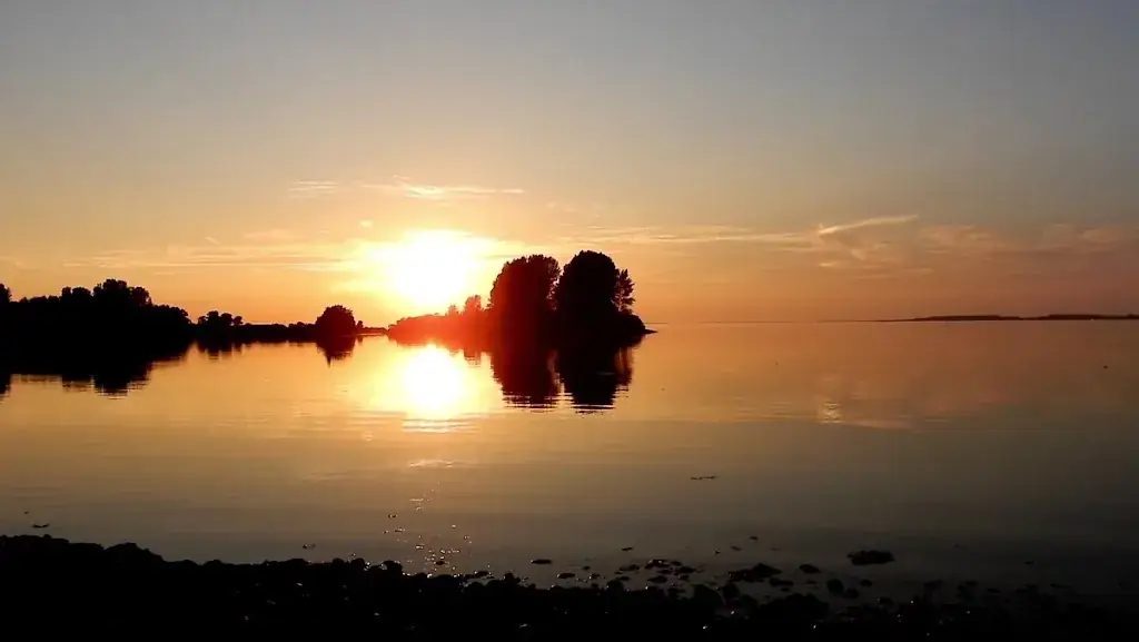 PUURR by Rich_Bruinisse_slider_image_2