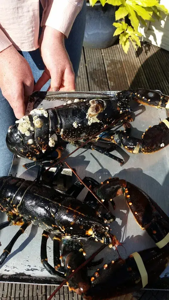 Menu_Restaurant De Vluchthaven_Bruinisse_image_5