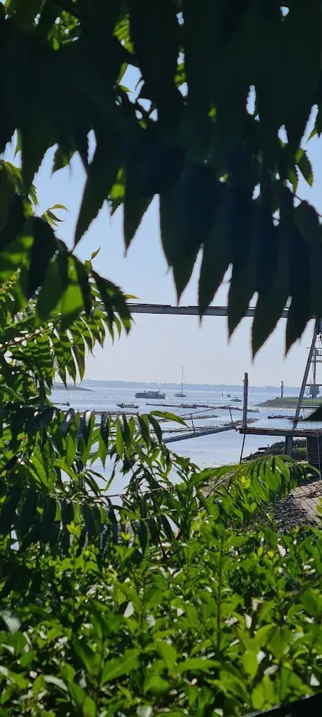 Lebendige Kommunikation_Restaurant De Vluchthaven_Bruinisse_review