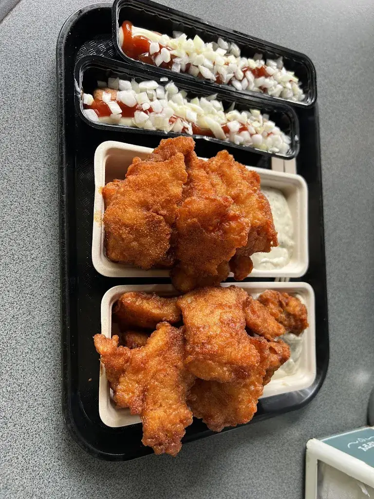 Santos Watafack_Hollander's Nieuwe_Leeuwarden_review