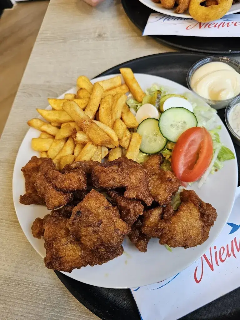 Sanne Niks_Hollander's Nieuwe_Leeuwarden_review