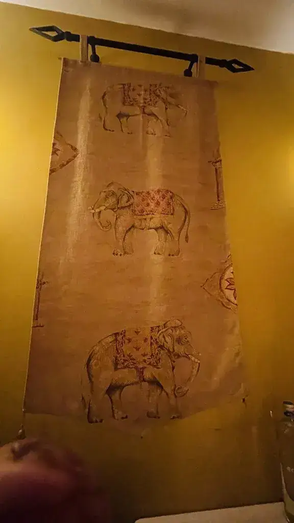 Suraj Gautam_Indian Restaurant Maharani_Haag_review