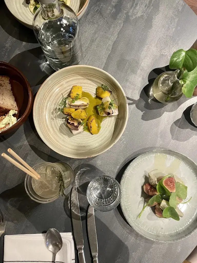 Stephanie Italiaander_Botanica_Haag_review