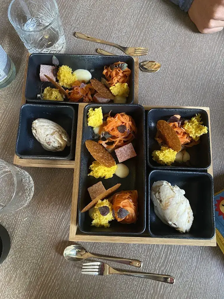 Daniela Ionescu_by NOA_Haag_recensione