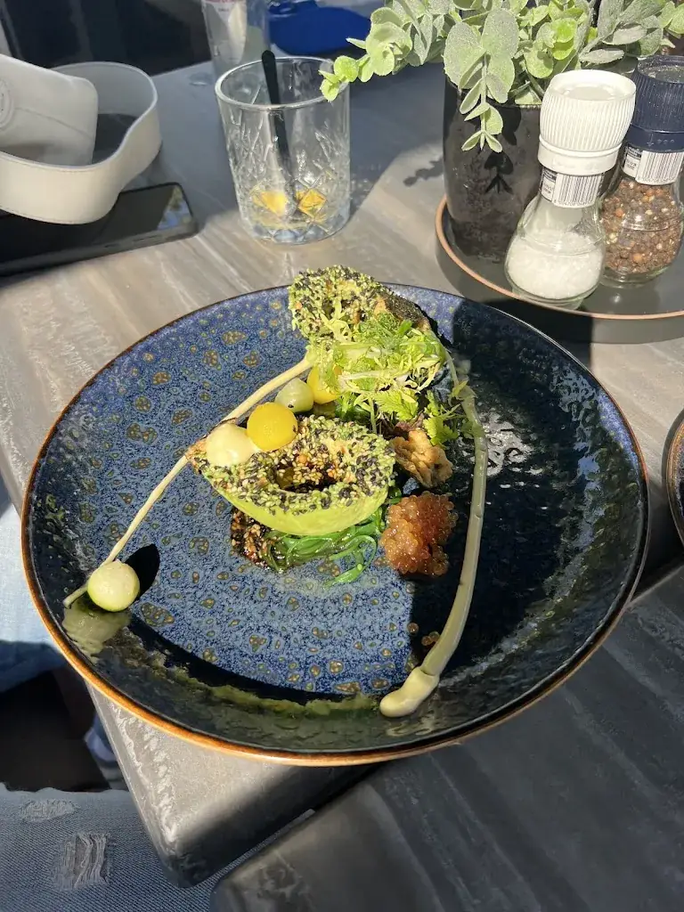 H Mendonza_De Haven Club_Loosdrecht_review