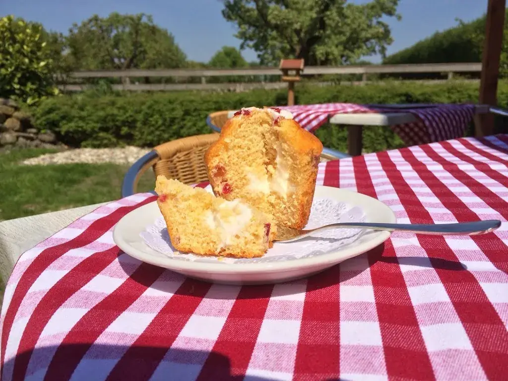 Menu_Tearoom-Restaurant the Robin_Wijdenes_image_8