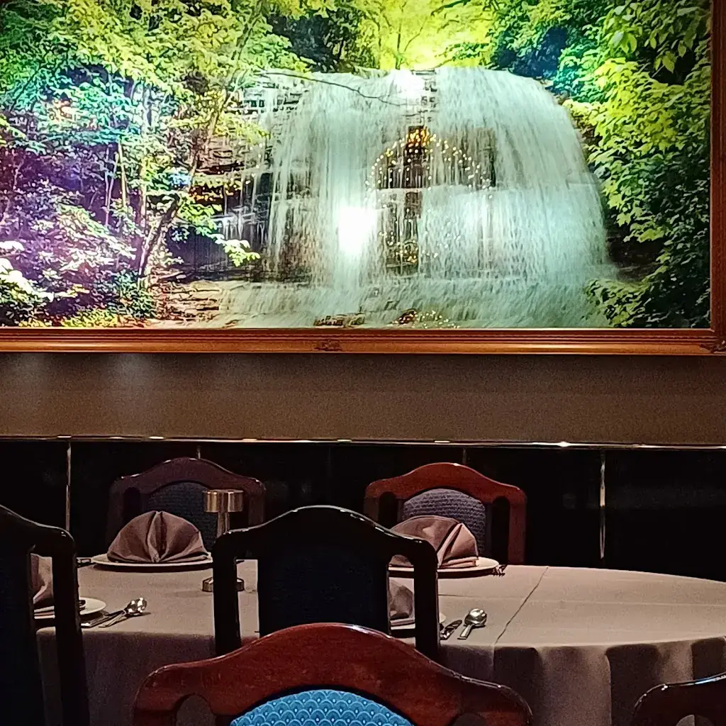 Jan Stammes_Chinese Specialiteiten Restaurant Tjau Tjin_Wognum_review