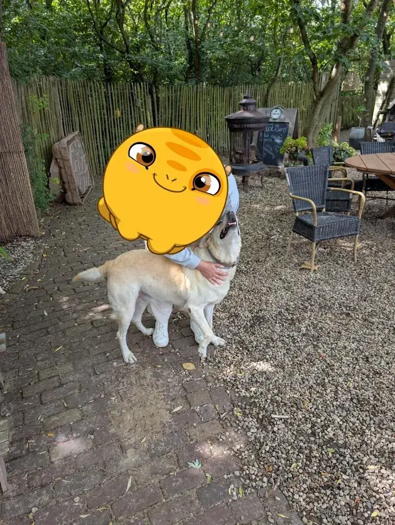 Larissa Hilse_Duinpark Paasdal_Zee_review