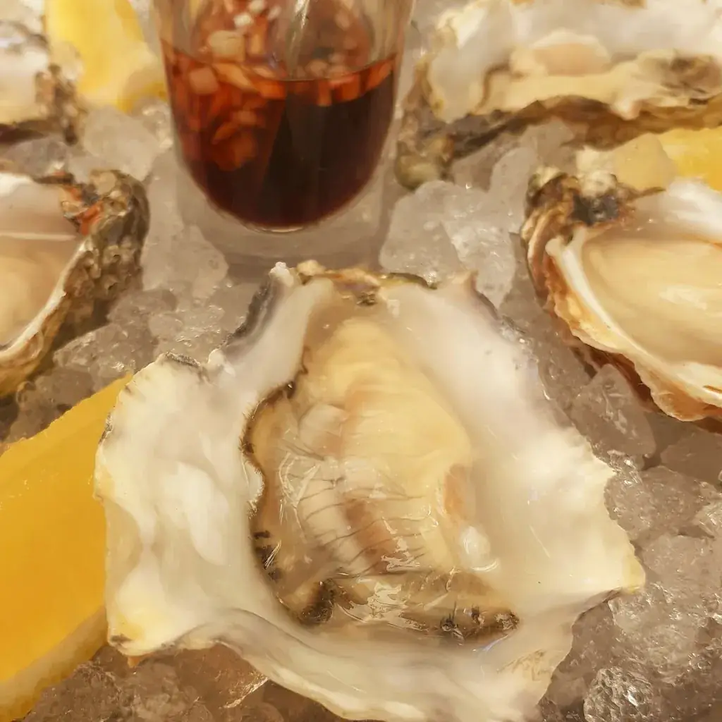 Jan Stammes_Puur Zee - Visrestaurant_Zee_review