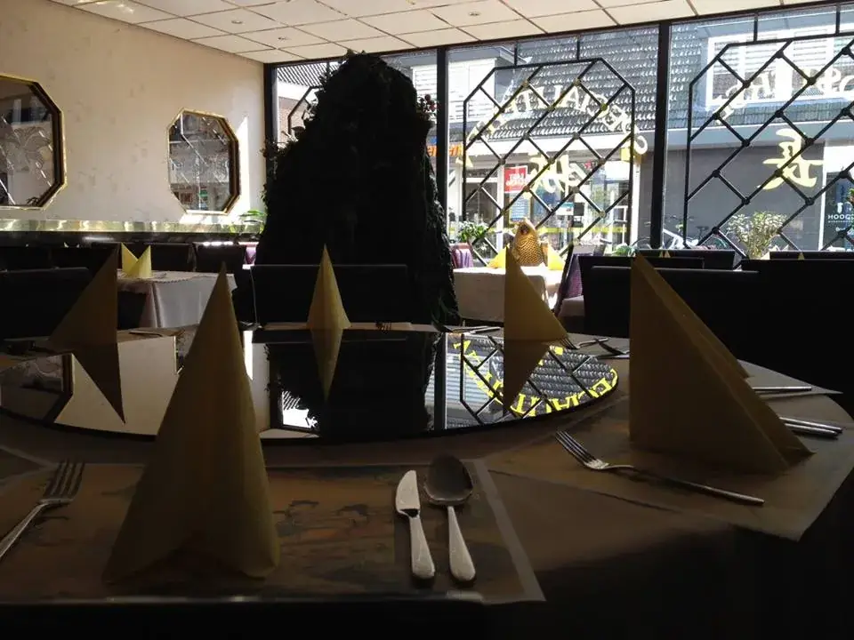 Oosterse Specialiteiten Restaurant De Lange Muur restaurant in Hardenberg