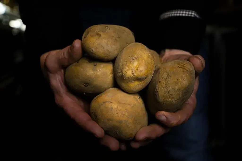 PUUR ZUID_Hardenberg_slider_image_2