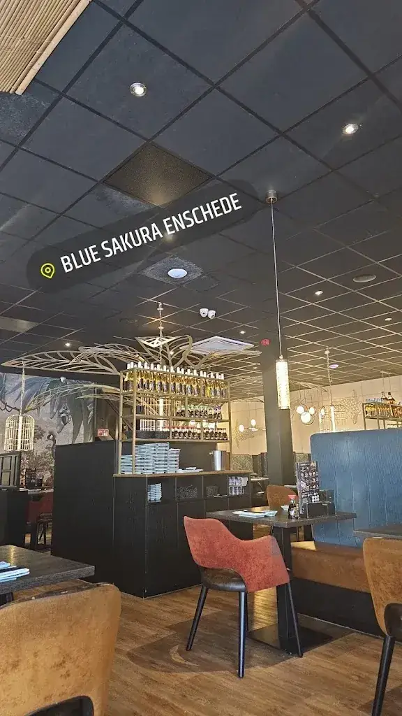 Blue Sakura_Enschede_slider_image_3